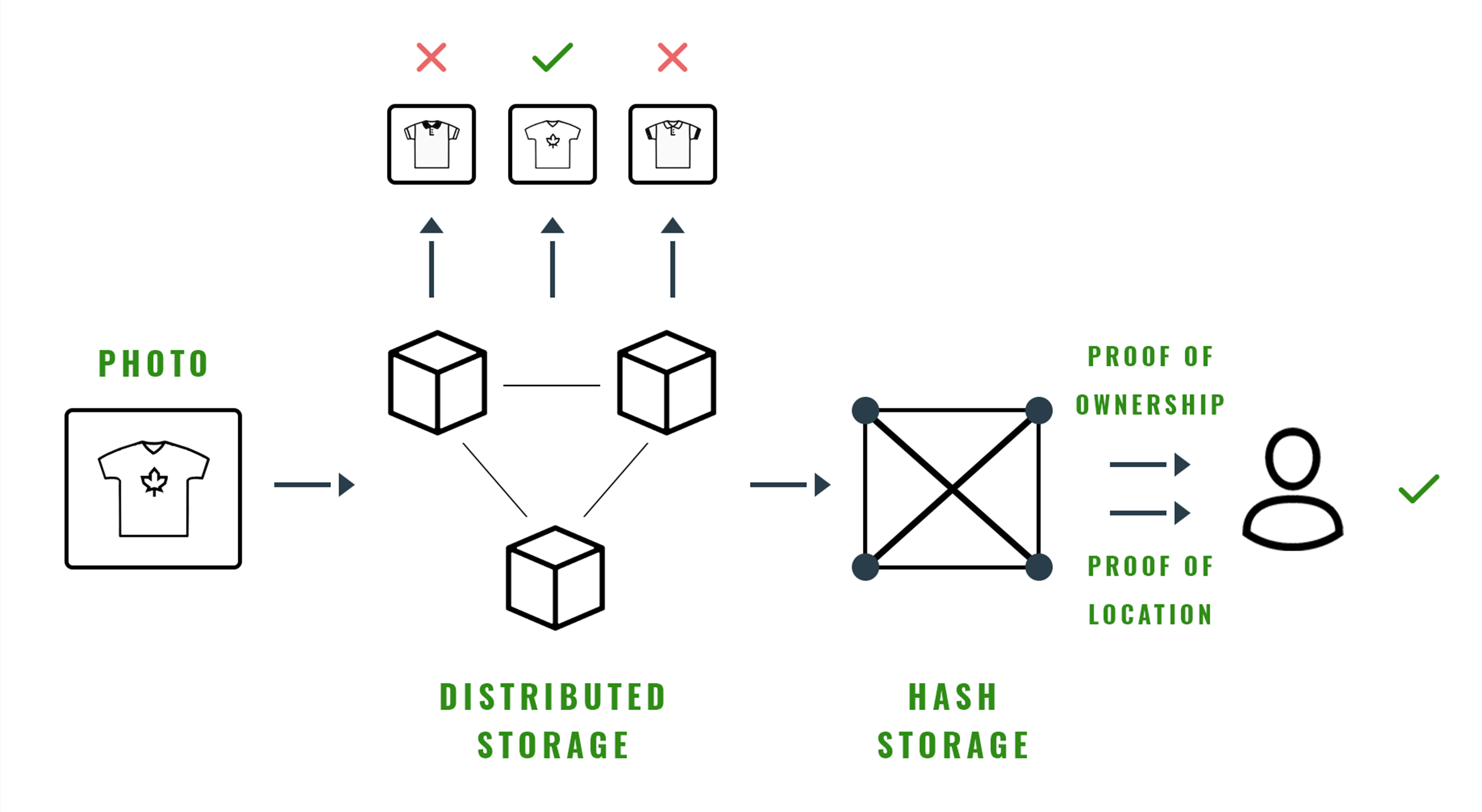 Memorabilia verification system